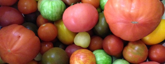 beauty and biodiversity of food