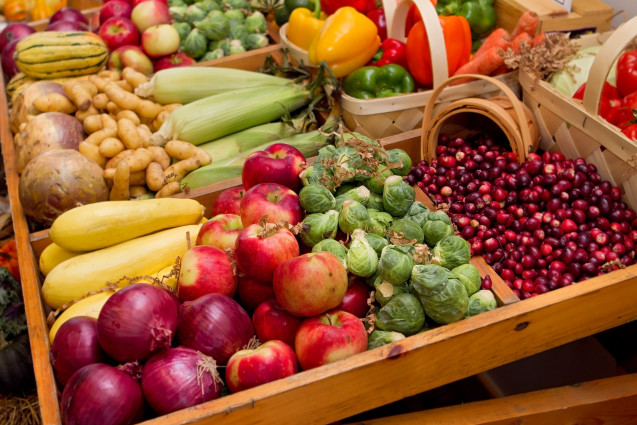 large group of fall harvest vegetables including corn and apples